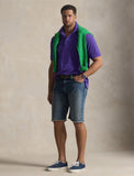 Polo Ralph Lauren Big & Tall Mesh Polo - Purple