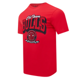 Pro Standard Tee Shirt - Chicago Bulls - Badge