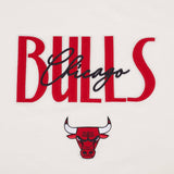 Pro Max Short Sleeve  Tee Shirt - Chicago Bull's Original Players